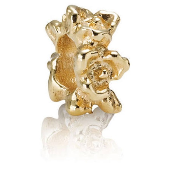 ISO - Picture 9 of 9